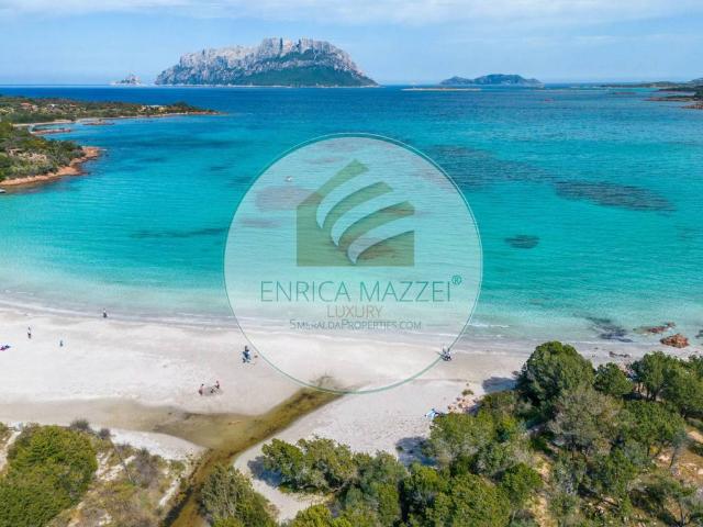 Appartamento in vendita a San Pantaleo, Sardigna/Sardegna