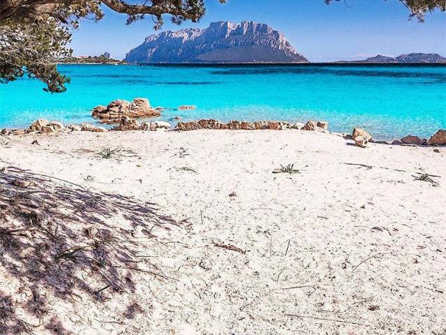 Appartamento in vendita a San Pantaleo, Sardigna/Sardegna