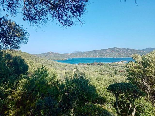 Appartamento in vendita a San Pantaleo, Sardigna/Sardegna