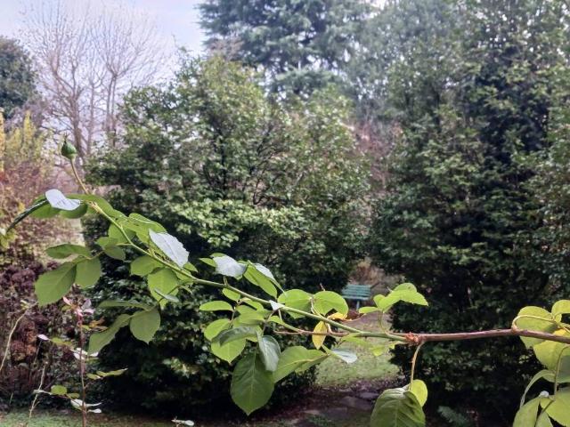 Appartamento in vendita a Borzighella, Piemonte