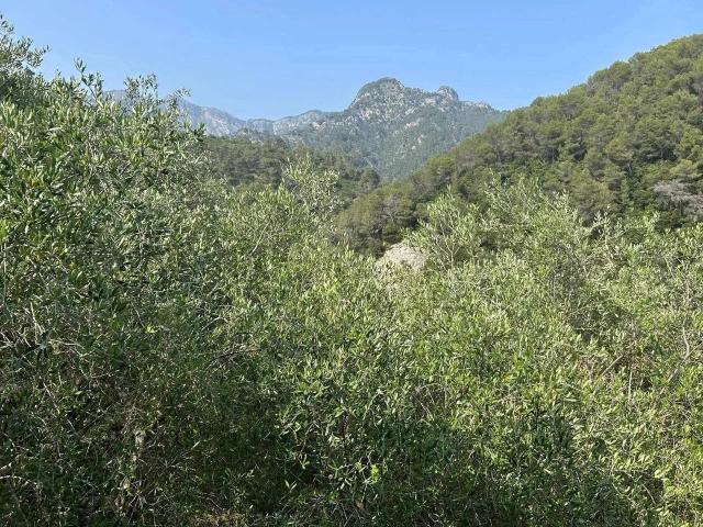 Appartamento in vendita a Fanghetto, Olivetta San Michele