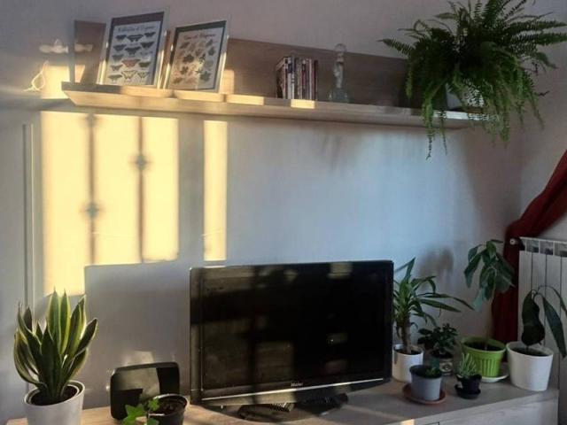 Appartamento in vendita a Petignano, Orte