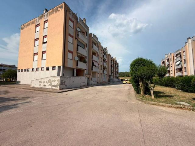 Appartamento in vendita a Petignano, Orte
