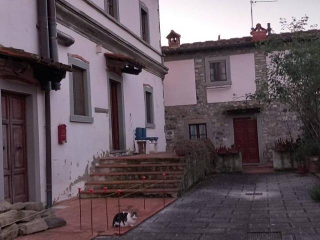 Appartamento in vendita a Ortignano, Toscana