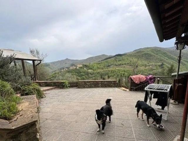 Appartamento in vendita a Ortignano, Toscana