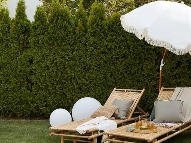 Appartamento in vendita a Camin, Padova