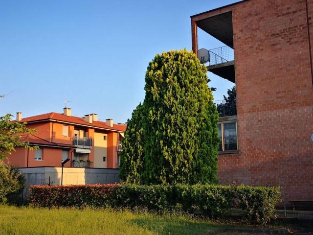 Appartamento in vendita a Golese, Sorbolo