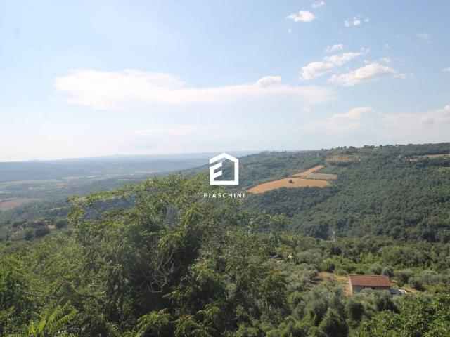 Appartamento in vendita a Penna In Teverina, Umbria