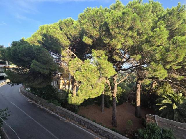Appartamento in vendita a Calabria, Catanzaro