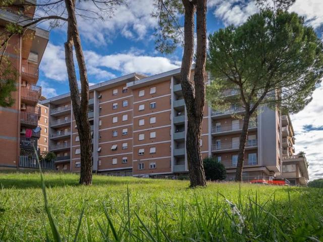 Appartamento in vendita a Cenerente, Umbria