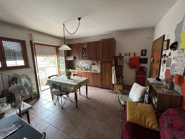 Appartamento in vendita a Castel del Piano, Cenerente