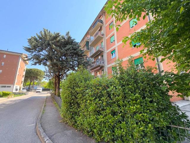Appartamento in vendita a Castel del Piano, Cenerente