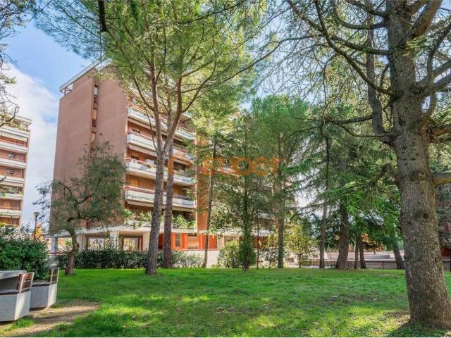 Appartamento in vendita a Madonna Alta, Cenerente