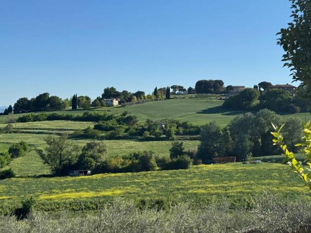 Appartamento in vendita a Cenerente, Umbria