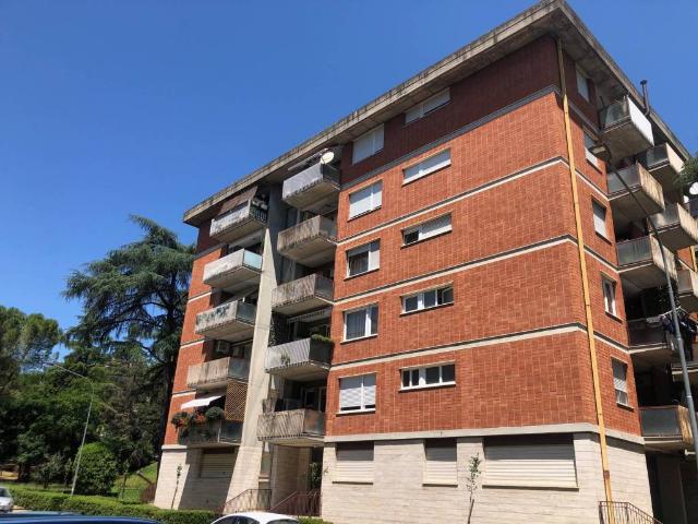 Appartamento in vendita a Cenerente, Umbria