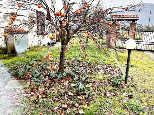 Appartamento in vendita a La Fratticiola-Casacce, Cenerente