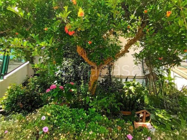 Appartamento in vendita a Monteciccardo, Marche