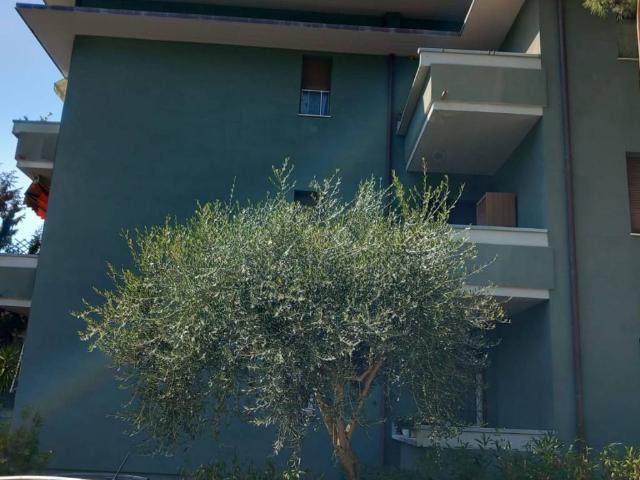 Appartamento in vendita a Montegranaro, Marche