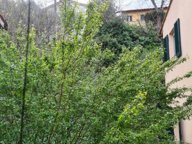 Appartamento in vendita a Ricciano, Uzzano E Castello