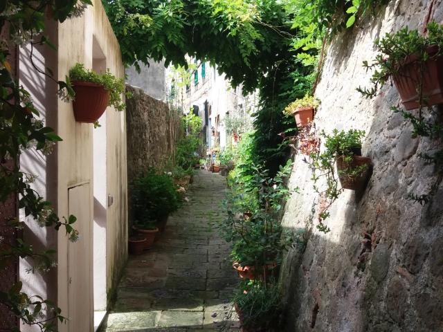 Appartamento in vendita a San Lorenzo a Cerreto, Pescia