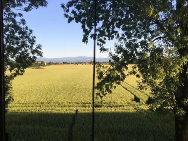 Appartamento in vendita a Piacenza, Reggio Emilia
