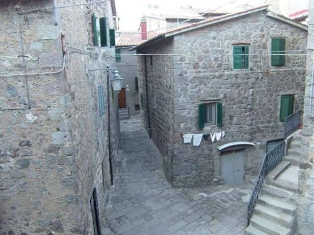 Appartamento in vendita a Piancastagnaio, Toscana