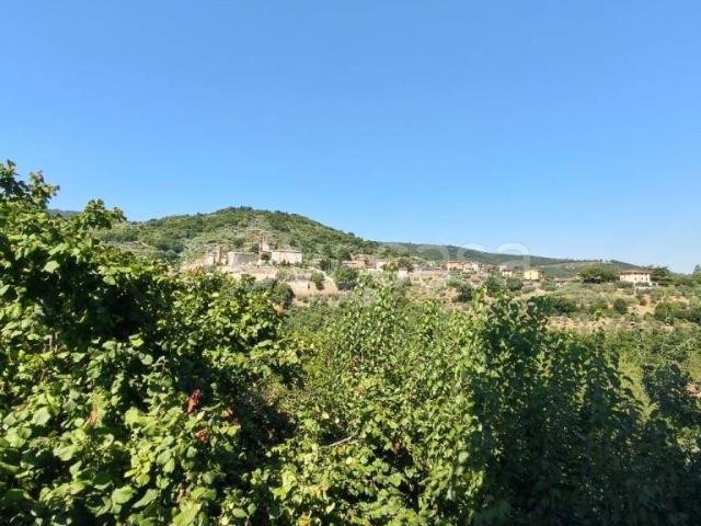Appartamento in vendita a Piegaro, Umbria