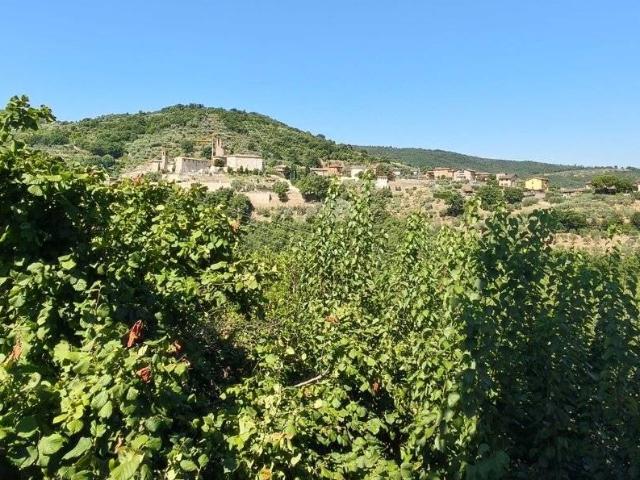 Appartamento in vendita a Piegaro, Umbria
