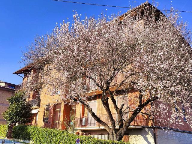 Appartamento in vendita a Piegaro, Umbria