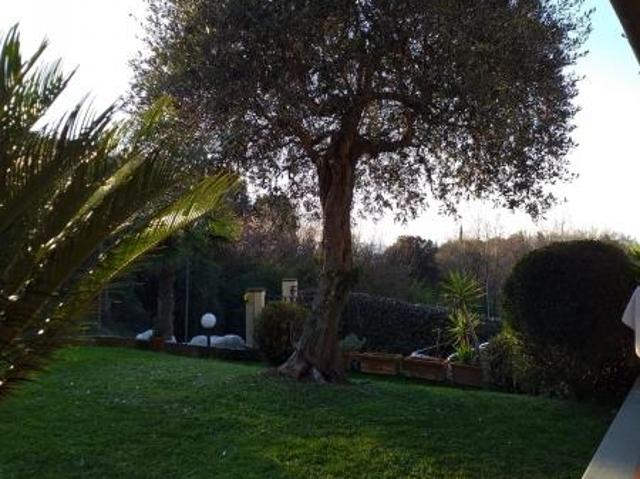 Appartamento in vendita a Tonfano, Toscana