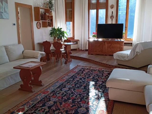 Appartamento in vendita a Sottocastello di Cadore, Pieve Di Cadore