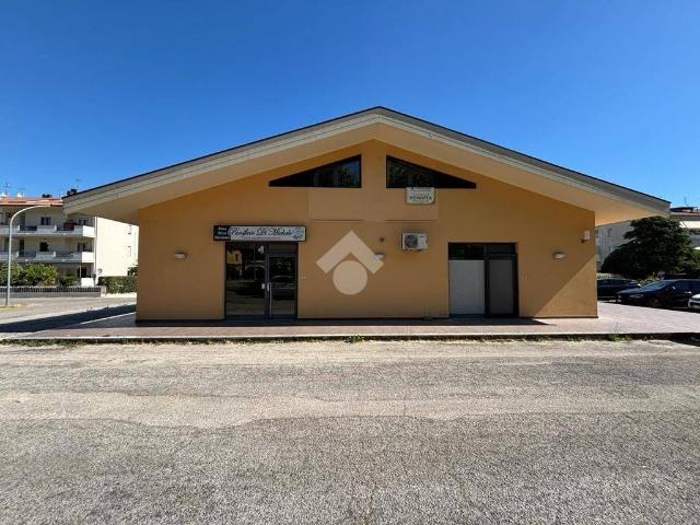 Appartamento in vendita a Seconda Zona P.E.E.P., Pineto