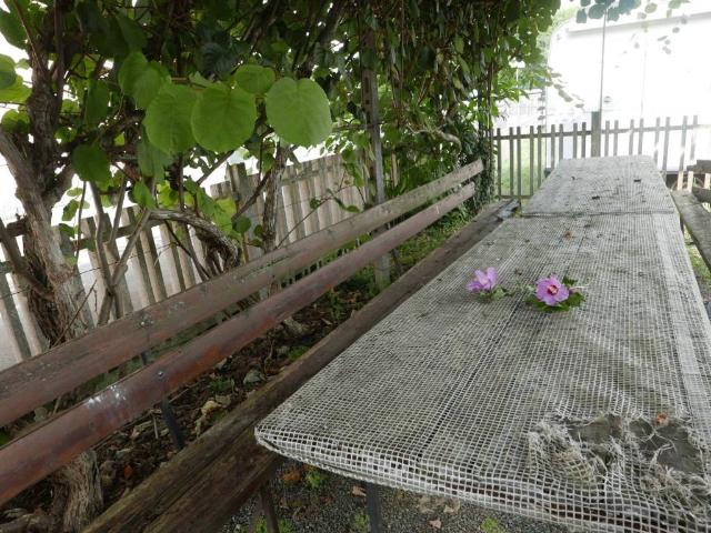 Appartamento in vendita a Bruera, Piscina
