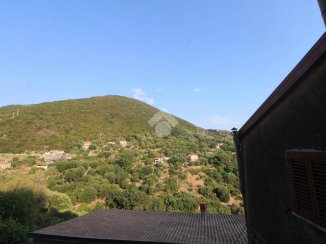 Appartamento in vendita a Pisciotta, Campania