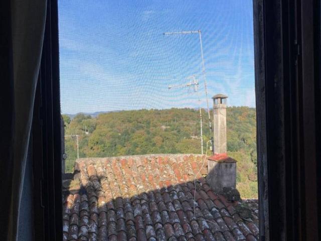 Appartamento in vendita a Unione di Comuni Montani Colline del Fiora, Pitigliano