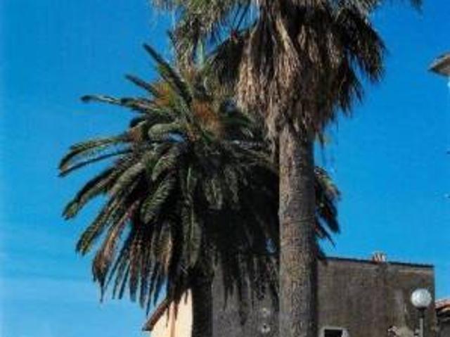 Appartamento in vendita a Poggio Catino, Lazio