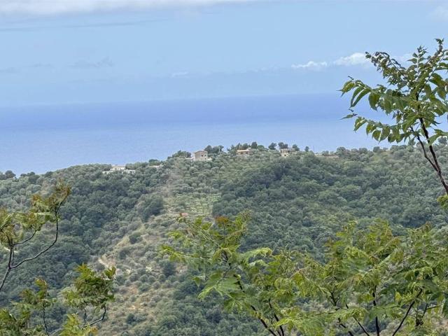 Appartamento in vendita a Pollica, Campania