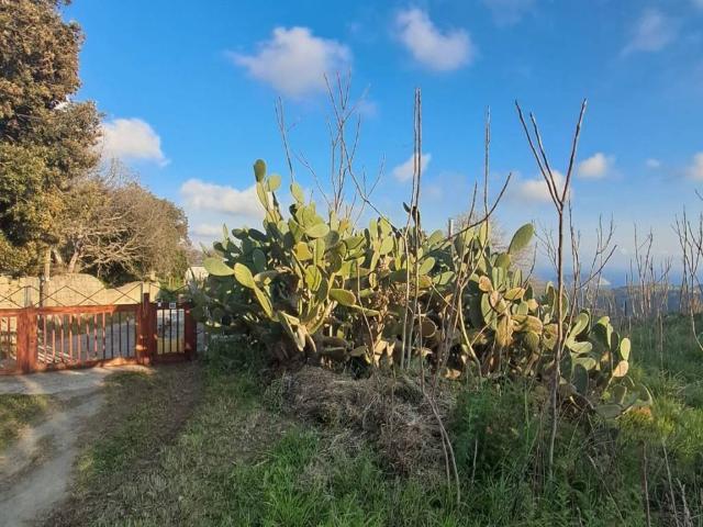 Appartamento in vendita a Cigliano, Pozzuoli