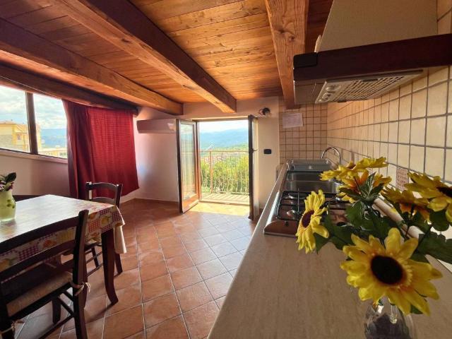 Appartamento in vendita a Prignano Cilento