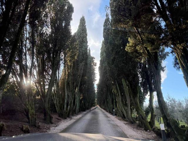 Appartamento in vendita a Quarrata, Toscana