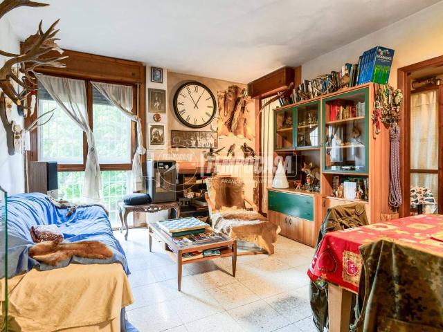 Appartamento in vendita a Roncina, Re