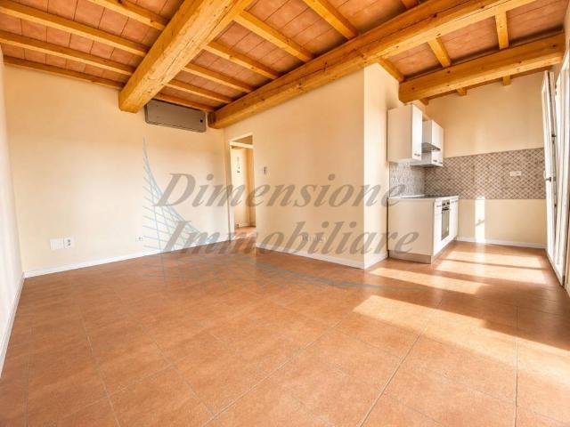 Appartamento in vendita a Riparbella, Toscana