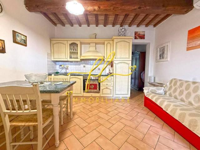 Appartamento in vendita a Riparbella, Toscana