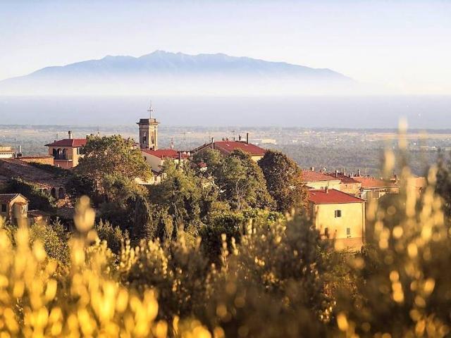 Appartamento in vendita a Riparbella, Toscana