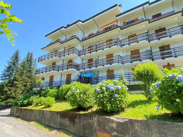 Appartamento in vendita a Piemonte, Cuneo