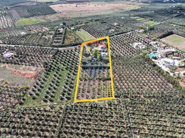 Appartamento in vendita a Puglia, Foggia