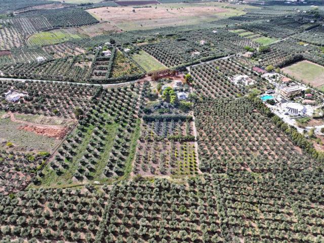 Appartamento in vendita a Puglia, Foggia
