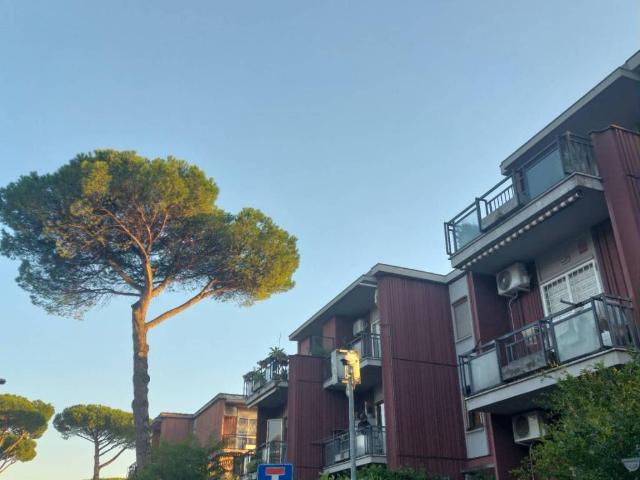 Attico in vendita a Villaggio Breda, Roma Capitale