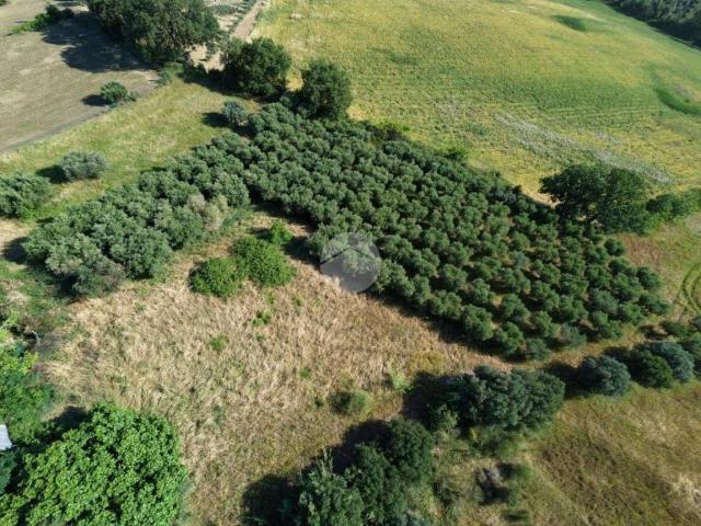 Appartamento in vendita a Santa Caterina, Roseto Degli Abruzzi