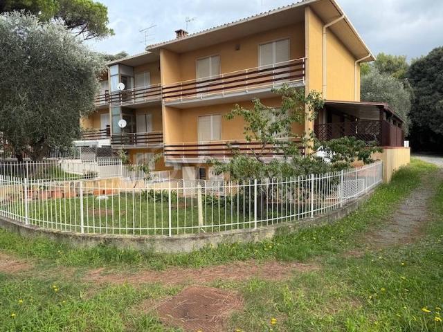 Appartamento in vendita a Rosignano Marittimo, Toscana